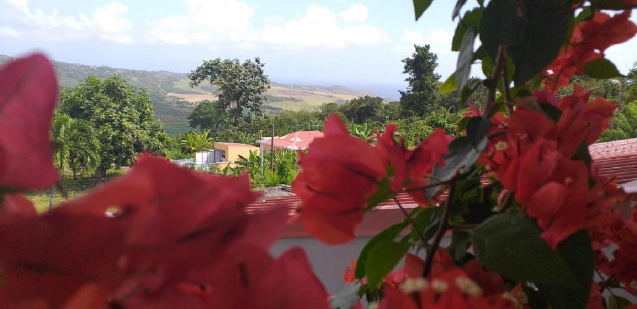 T2 Echappee Belle Sainte-Marie Kybo Karaib Location Pkg Mtgne Cosy Apartamento Exterior foto
